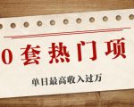 30套热门项目：单日最高收入过万 (网赚项目、朋友圈、涨粉套路、抖音、快手)等-沐风资源库