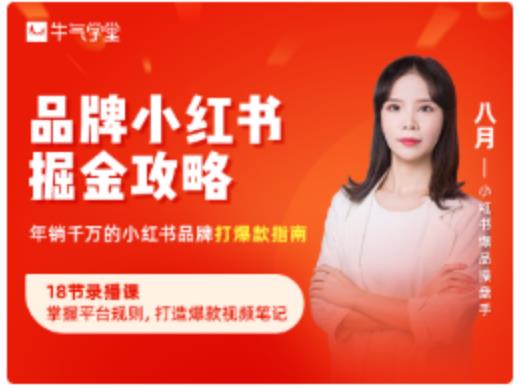 品牌小红书掘金攻略，年销千万的小红书品牌打爆款指南-沐风资源库