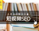 未来新趋势，布局短视频SEO，如何利用抖音SEO免费获得精准流量（3节课）-沐风资源库