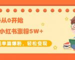 生财小红书涨粉变现：新账号从0开始3个月小红书涨粉5W+实现单篇爆粉-沐风资源库