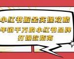 小红书掘金实操攻略，年销千万的小红书品牌打爆款指南-沐风资源库