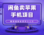 闲鱼卖苹果手机项目，教你闲鱼卖货月入上万-沐风资源库