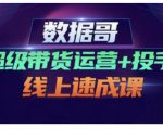 数据哥·超级带货运营+投手线上速成课，快速提升运营和熟悉学会投手技巧-沐风资源库