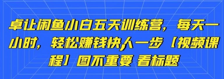 卓让闲鱼小白五天训练营,每天一小时,轻松赚钱快人一步-沐风资源库
