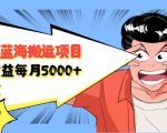 自媒体蓝海搬运项目：单号收益每月基本都可以达到5000+，可批量-沐风资源库