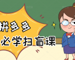 拼多多商家开店入门必学，0基础新手小白扫盲课（58节视频课程）-沐风资源库