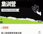 夜草与千里马素人短视频带货集训营，薛辉团队价值599-沐风资源库