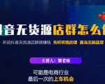 蟹老板·抖音无货源店群怎么做，吊打市面一大片《抖音无货源店群》的课程-沐风资源库