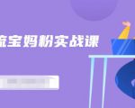 百度贴吧引流宝妈粉实战课，小白也可以日引100+精准粉-沐风资源库