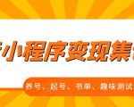 抖音小程序变现集训课，养号、起号、书单、趣味测试、视频剪辑，全套流程-沐风资源库