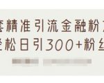 1套精准引流金融粉方法，轻松日引300+粉丝-沐风资源库