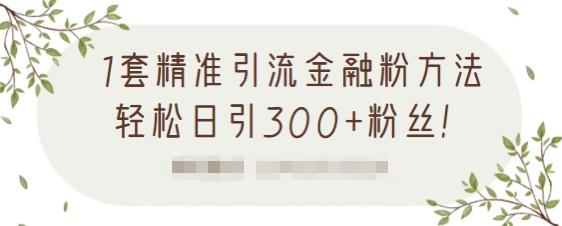 1套精准引流金融粉方法，轻松日引300+粉丝-沐风资源库