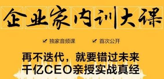 企业家内训大课，未来企业必学经验，价值1299元-沐风资源库
