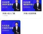 湛北·抖音小店入门进阶高阶合集，八大玩法打造百万店铺-沐风资源库