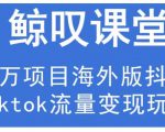 鲸叹号·海外TIKTOK训练营，百万项目海外版抖音tiktok流量变现玩法-沐风资源库