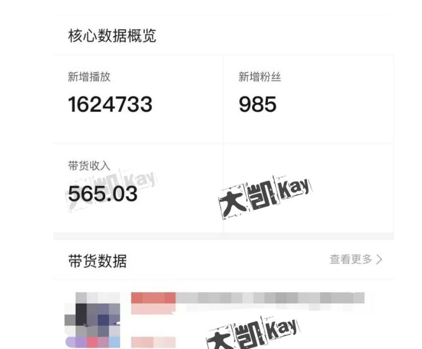 大凯进阶圈新玩法之拼多多视频玩法，利润大概一个号一天能有500~1500的左右!-沐风资源库