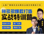玺承云·拼多多爆款打造实战特训营，一套从入门到高手课程，让你快速拿捏拼多多-沐风资源库