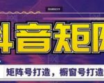 高鹏圈·抖音带货矩阵项目，起号成功率100%，出单率100%！-沐风资源库