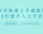 2022年虚拟项目实战指南，新手从0打造月入上万店铺-沐风资源库