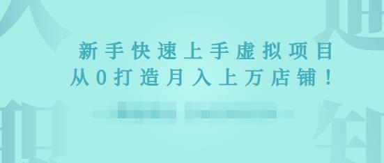 2022年虚拟项目实战指南，新手从0打造月入上万店铺-沐风资源库