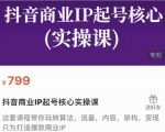 抖音商业IP起号核心实操课，带你玩转算法，流量，内容，架构，变现-沐风资源库