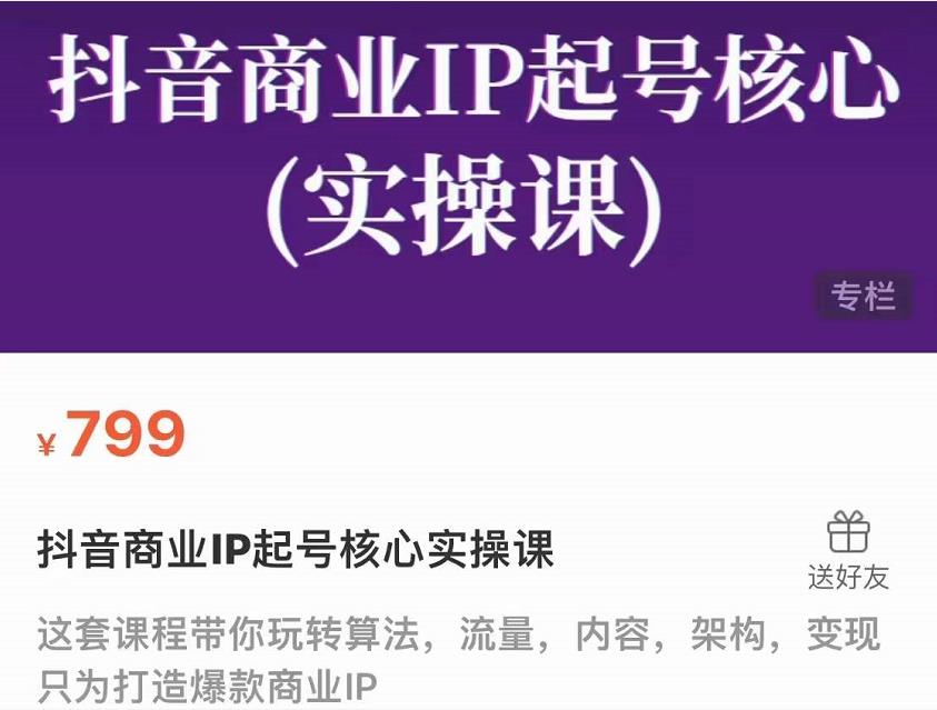 抖音商业IP起号核心实操课，带你玩转算法，流量，内容，架构，变现-沐风资源库