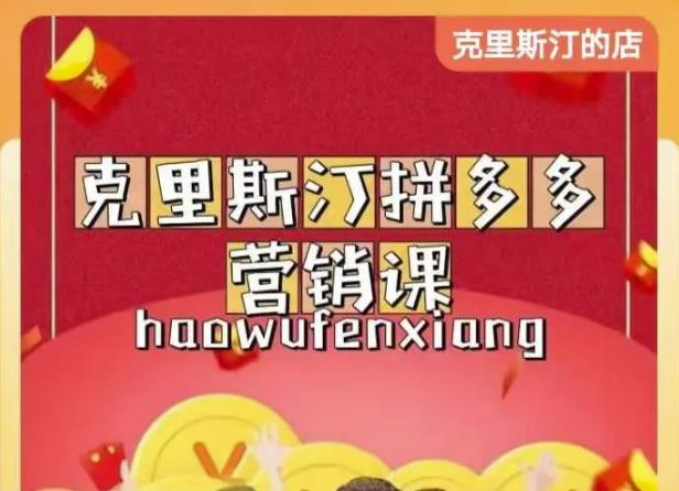 克里斯汀拼多多运营课，适合小白初涉平台，低成本入门-沐风资源库