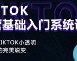 Tiktok实操进阶课程，体验从tiktok小透明到大佬的完美蜕变-沐风资源库