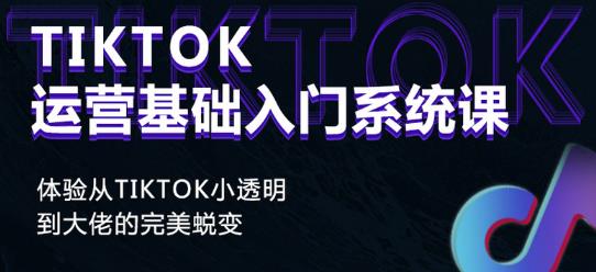Tiktok实操进阶课程，体验从tiktok小透明到大佬的完美蜕变-沐风资源库