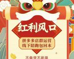 左右电商拼多多无货源店群玩法：从0~1，36节实战保姆教程，​极速起店必出单-沐风资源库