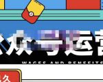 零零已久·从0-1运营公众号，零基础小白也能上手，系统性了解公众号运营-沐风资源库
