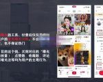 麦子互娱短视频带货·0基础做好物分享账号，无需出镜无需货源无需拍摄-沐风资源库