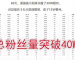 倪叶明·蓝海公众号矩阵项目训练营，0粉冷启动，公众号矩阵账号粉丝突破30w-沐风资源库