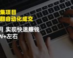 虚拟图集项目：矩阵站群自动化成交，3-5个月实现快速赚钱月入1W+左右-沐风资源库
