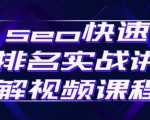 seo快速排名实战讲解视频课程，揭秘seo快排原理-沐风资源库
