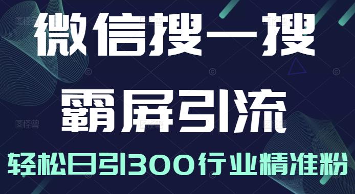 微信搜一搜霸屏引流课，打造被动精准引流系统，轻松日引300行业精准粉-沐风资源库