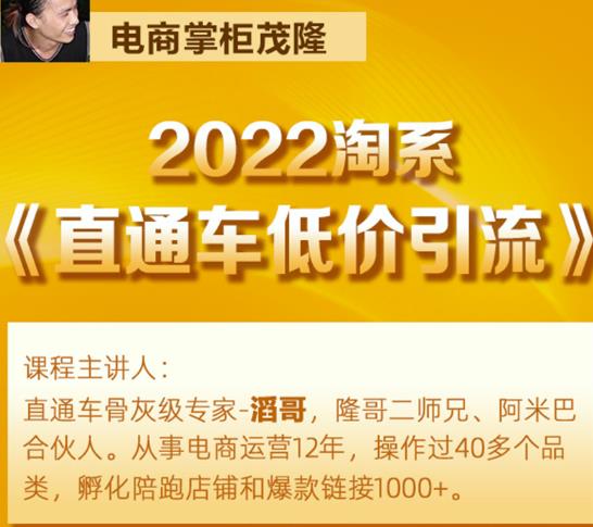 茂隆2022直通车低价引流玩法，教大家如何低投入高回报的直通车玩法-沐风资源库