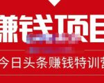懒人领域·今日头条项目玩法，头条中视频项目，单号收益在50—500可批量-沐风资源库