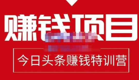 懒人领域·今日头条项目玩法，头条中视频项目，单号收益在50—500可批量-沐风资源库