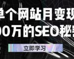 单个网站月变现100万的SEO秘密，百分百做出赚钱站点-沐风资源库