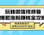玩转微信视频号爆款涨粉赚钱全攻略，快速涨粉百万变现万元秘诀-沐风资源库