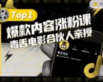 【毒舌电影合伙人亲授】抖音爆款内容涨粉课，5000万抖音大号首次披露涨粉机密-沐风资源库