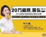 叶小鱼21天短视频文案拆书营，学完轻松搞定各类书单短视频文案-沐风资源库
