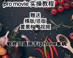 漆十二美食摄影，25​节promovie实操高手课节-沐风资源库