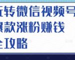 玩转微信视频号爆款涨粉赚钱全攻略，让你快速抓住流量风口，收获红利财富-沐风资源库