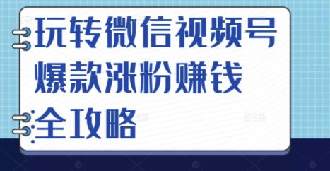 玩转微信视频号爆款涨粉赚钱全攻略，让你快速抓住流量风口，收获红利财富-沐风资源库