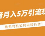 老古董·抖音月入5万引流玩法，看看老司机如何玩转抖音(附赠：抖音另类引流思路)-沐风资源库