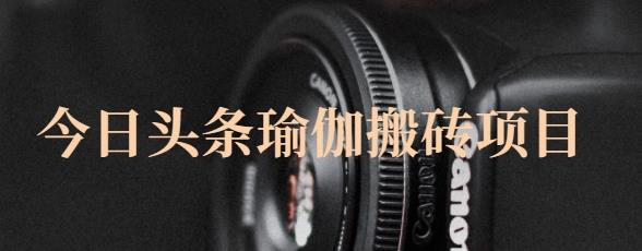 猎人社区·今日头条瑜伽搬砖项目，单号一天几十收入，可以批量操作！-沐风资源库