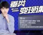 张sir·垂类变现课，抖音带货新手才看粉丝量，高手都看变现效率-沐风资源库