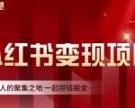 渣圈学苑·小红书虚拟资源变现项目，一起捞钱掘金价值1099元-沐风资源库